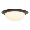 Steinhauer IKARO Ceiling Light LED black, 1-light source