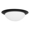 Steinhauer IKARO Ceiling Light LED black, 1-light source