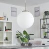 COCHUNA Pendant Light matt nickel, 1-light source
