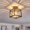 BARRACON Ceiling Light black, 1-light source