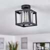 BARRACON Ceiling Light black, 1-light source
