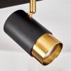 CAMPANAS Ceiling Light brass, black, 2-light sources