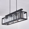 BARRACON Pendant Light black, 4-light sources