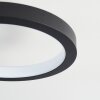 CARABAJAL Ceiling Light LED black, 1-light source