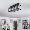 BARRACON Ceiling Light black, 3-light sources