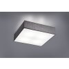 Trio Embassy ceiling light matt nickel, 4-light sources