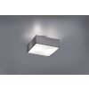 Trio Embassy ceiling light matt nickel, 2-light sources