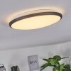 MAGDALA Ceiling Light LED black, white, 1-light source