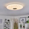 SHOI Ceiling Light LED white, 1-light source, Motion sensor