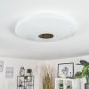SHOI Ceiling Light LED white, 1-light source, Motion sensor