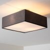 Trio Embassy ceiling light matt nickel, 2-light sources