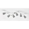 Fischer & Honsel JEFF Ceiling Light matt nickel, 6-light sources