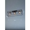 Fischer & Honsel REGI Ceiling Light black, 3-light sources