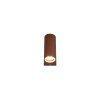 Trio ROYA Outdoor Wall Light rust-coloured, 2-light sources