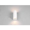 Trio ROYA Outdoor Wall Light white, 2-light sources