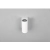 Trio ROYA Outdoor Wall Light white, 2-light sources