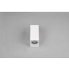 Trio ROYA Outdoor Wall Light white, 2-light sources