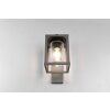 Trio LUNGA Outdoor Wall Light anthracite, 1-light source