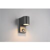 Trio ROYA Outdoor Wall Light anthracite, 1-light source, Motion sensor