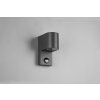 Trio ROYA Outdoor Wall Light anthracite, 1-light source, Motion sensor