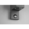 Trio ROYA Outdoor Wall Light anthracite, 2-light sources, Motion sensor