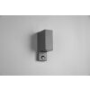 Trio ROYA Outdoor Wall Light anthracite, 2-light sources, Motion sensor