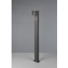 Trio ROYA path light anthracite, 1-light source, Motion sensor