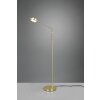 Trio FRANKLIN Floor Lamp LED brass, 1-light source