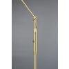 Trio FRANKLIN Floor Lamp LED brass, 1-light source