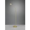 Trio FRANKLIN Floor Lamp LED brass, 1-light source