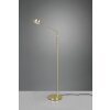 Trio FRANKLIN Floor Lamp LED brass, 1-light source
