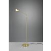 Trio FRANKLIN Floor Lamp LED brass, 1-light source