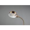 Trio PERRY Table lamp antique brass, 1-light source