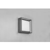 Trio WITHAM Ceiling Light LED anthracite, 1-light source