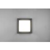 Trio WITHAM Ceiling Light LED anthracite, 1-light source