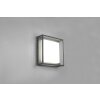 Trio WITHAM Ceiling Light LED anthracite, 1-light source