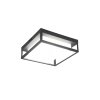 Trio WITHAM Ceiling Light LED anthracite, 1-light source