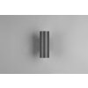Reality LAREDO Outdoor Wall Light anthracite, 2-light sources