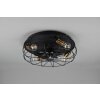Reality TRONDHEIM ceiling fan black, 4-light sources, Remote control
