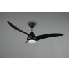 Reality ALESUND ceiling fan LED black, 1-light source, Remote control
