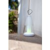 Lutec PEPPER Table lamp LED white, 1-light source, Colour changer