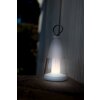 Lutec PEPPER Table lamp LED white, 1-light source, Colour changer