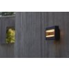 Lutec CONROY Outdoor Wall Light LED anthracite, 1-light source