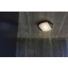 Lutec SWEEP outdoor ceiling light LED anthracite, 1-light source