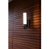 Lutec ELARA Outdoor Wall Light LED anthracite, 1-light source, Motion sensor