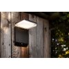Lutec MOZE Outdoor Wall Light LED black, 1-light source, Motion sensor