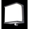 Lutec DOBLO Outdoor Wall Light LED anthracite, 1-light source, Motion sensor