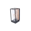 Lutec FLAIR Outdoor Wall Light Wood like finish, black, 1-light source