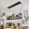 JABILLA Pendant Light black, 6-light sources