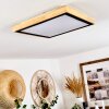 CORINTO Ceiling Light LED Ecru, black, 1-light source